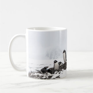 Gentoopuminer, Antarctica, Vernadsky Station. Kaffemugg