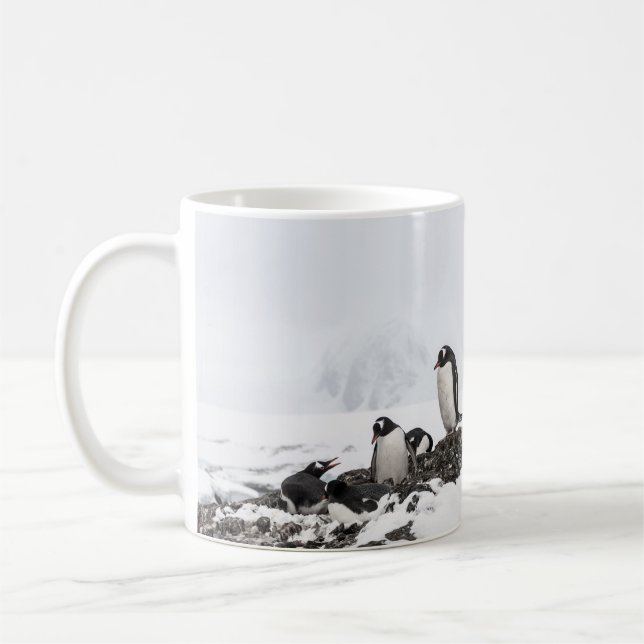 Gentoopuminer, Antarctica, Vernadsky Station. Kaffemugg (Vänster)