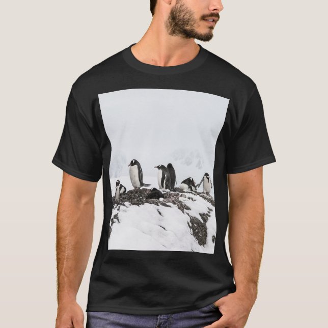 Gentoopuminer, Antarctica, Vernadsky Station. T Shirt (Framsida)