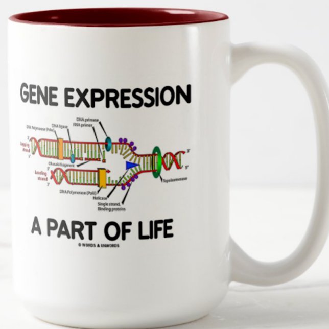 Genuttryck en del av livet (DNA-replikering) Två-Tonad Mugg (Mug featuring DNA replication & the molecular biology truism saying "Gene Expression A Part Of Life")