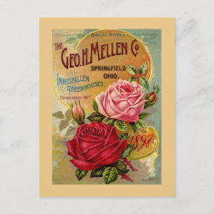 Geo. H. Mellen Co. växthusannons Vykort