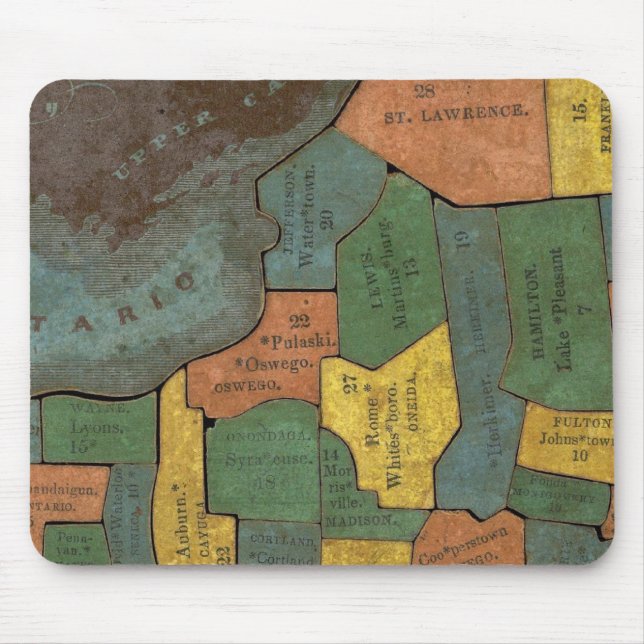 Geografisk analys av delstaten New York Musmatta (Framsidan)