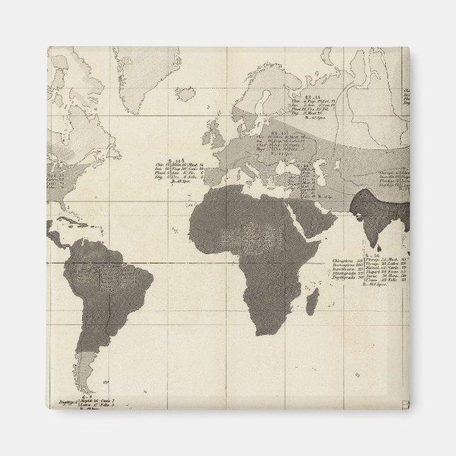Geografisk fördelning av vegetation magnet (Framsidan)