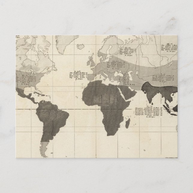 Geografisk fördelning av vegetation vykort (Framsida)