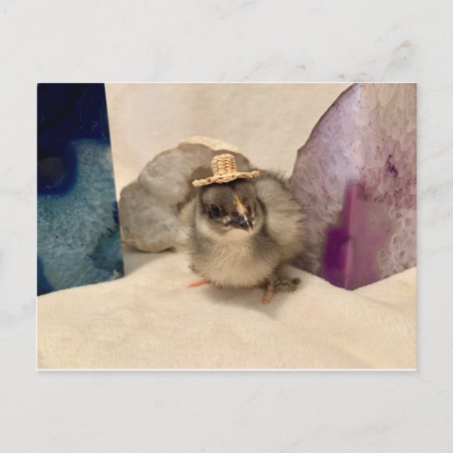 Geoguy Vykort (Framsida)