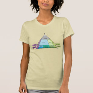 Geologi QAP-diagram - Plutonsk bergartsidentifieri T Shirt