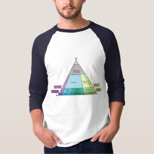 Geologi QAP-diagram - Plutonsk bergartsidentifieri Tröja