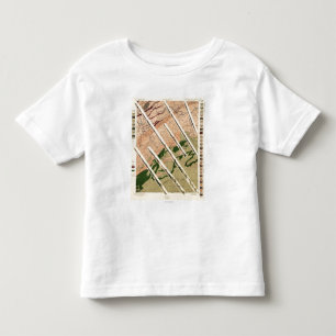 Geologisk granskning av Tennessee och norr T Shirt