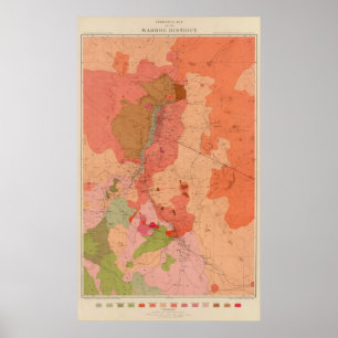Geologisk karta av det Washoe området Poster