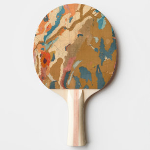 Geologisk Nevada platå Pingisracket