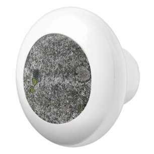 Geology Grått Granite med Moss Knopp