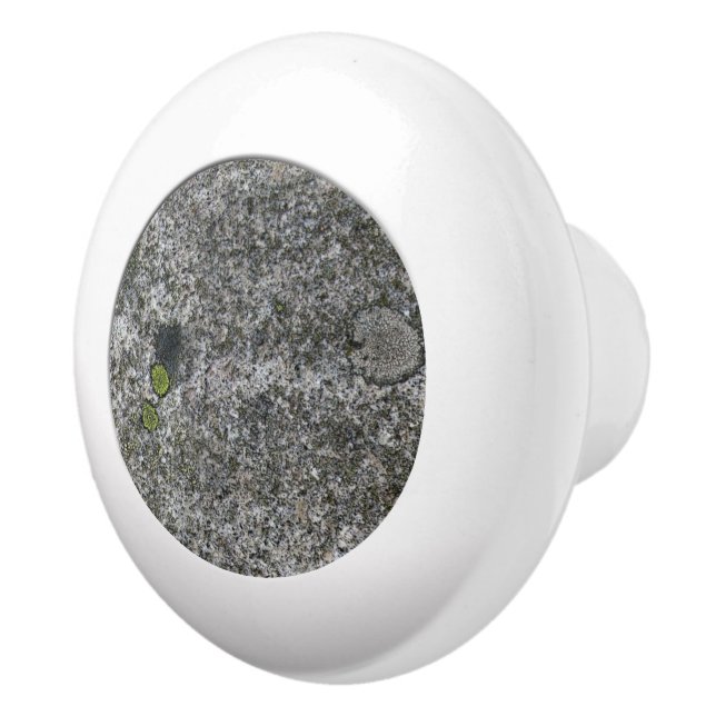 Geology Grått Granite med Moss Knopp (Höger)
