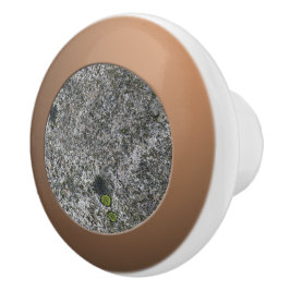 Geology Grått Granite med Moss Knopp