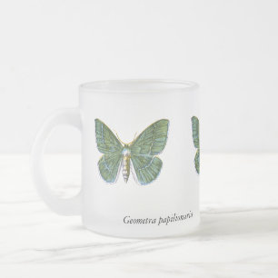 Geometra papilionaria - Large Emerald Moth Frostad Glasmugg