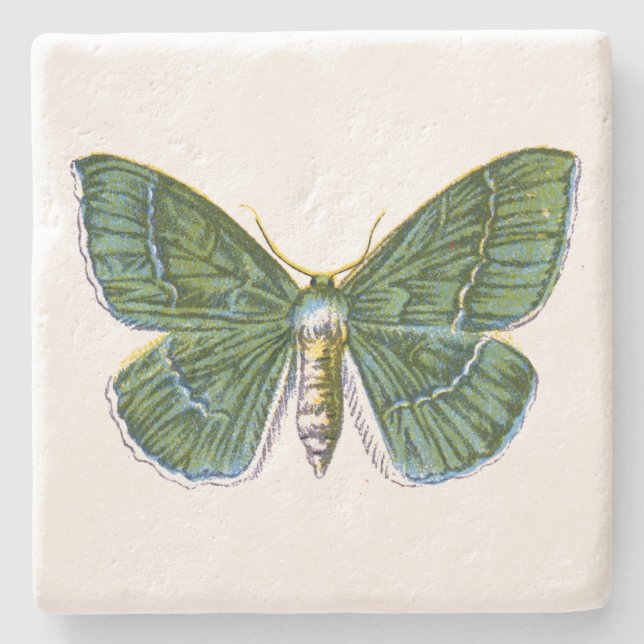 Geometra papilionaria - Large Emerald Moth Stenunderlägg (Framsidan)