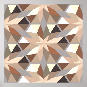 Geometric Natural Färg Mönster Poster