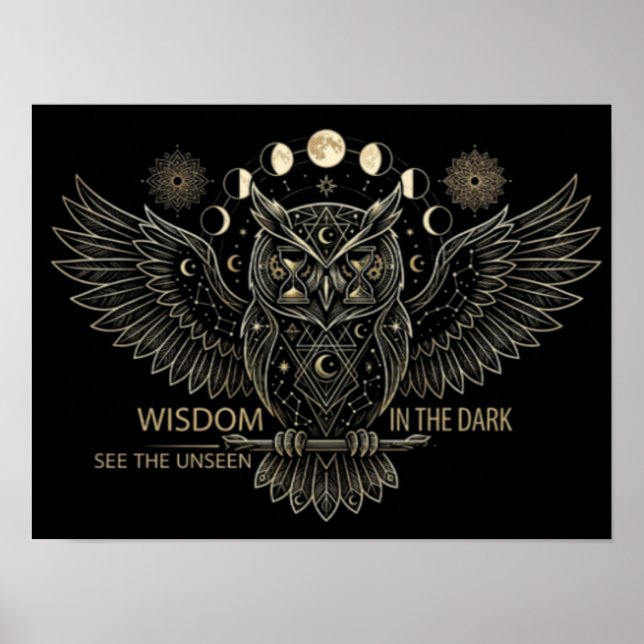 Geometric Night Owl  Poster (Framsidan)