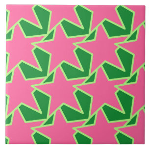 Geometrisk modern stjärna - vattenmelonrosor och kakelplatta