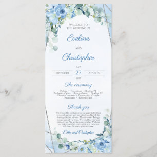 Geometrisk Rustic Dusty Blue Blommigt Silver Program