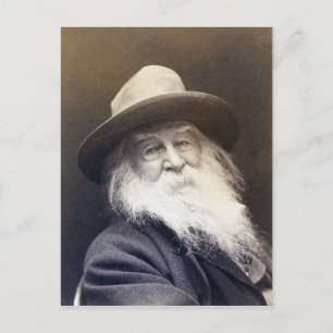 George C. Cox Walt Whitman Vykort