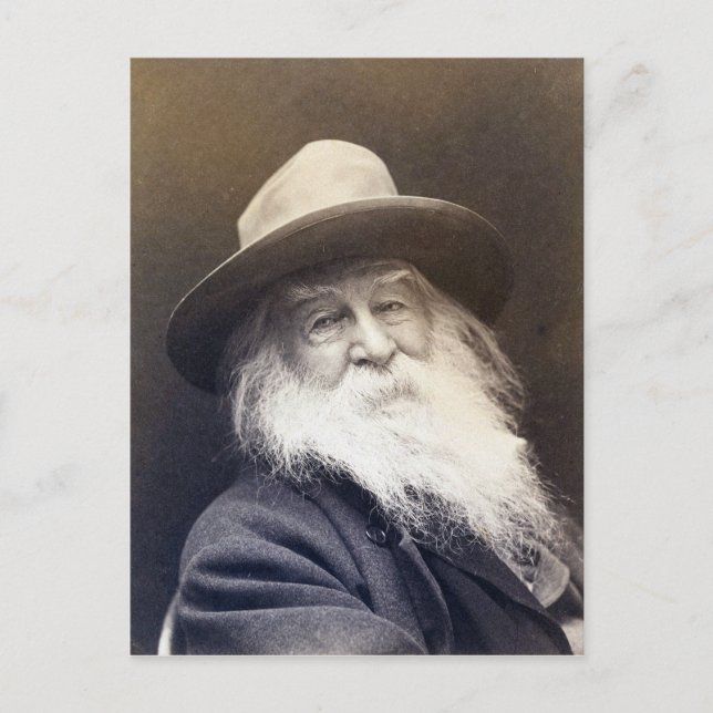 George C. Cox Walt Whitman Vykort (Framsida)