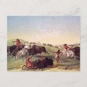 George Catlin - buffeljakt Vykort