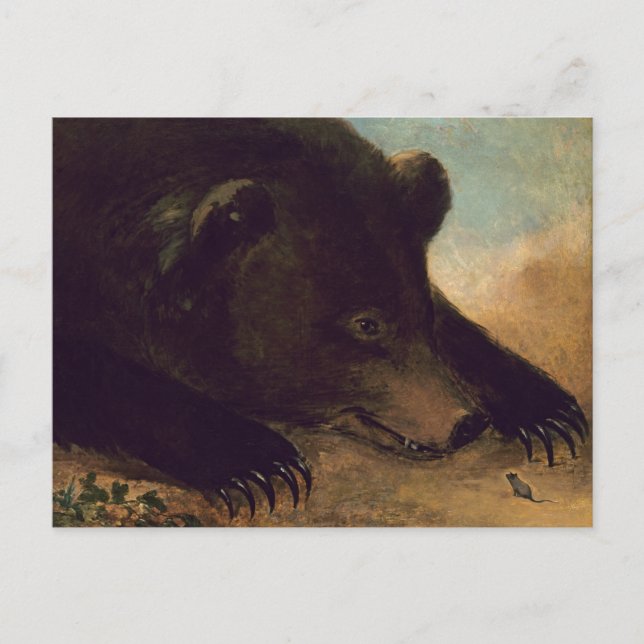 George Catlin - Postkort med grizzlybjörn och mus Vykort (Framsida)