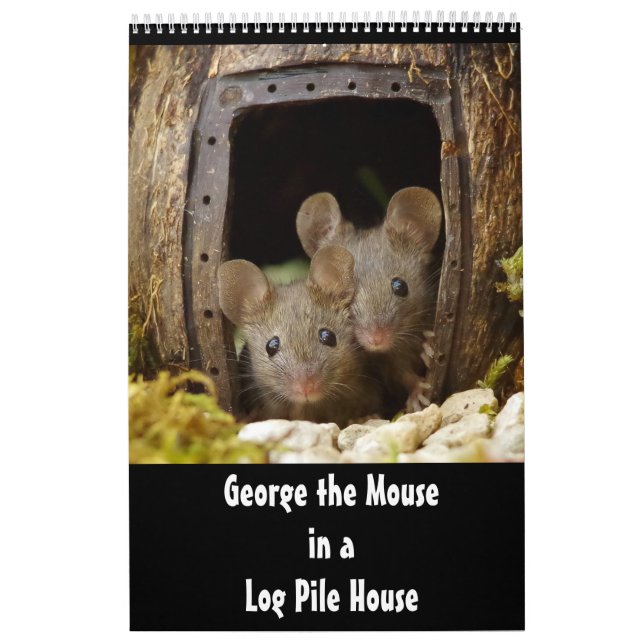 George musen i en loggpil House 2020-kalender Kalender (Omslag)