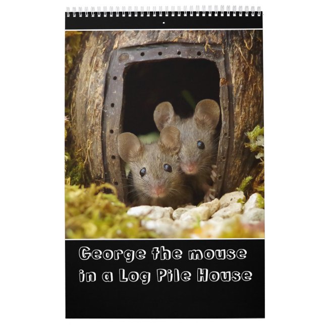 George musen i ett logaritm 2022 ny kalender (Omslag)