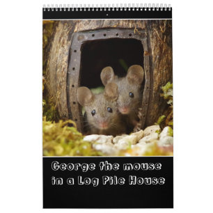 George musen i ett logaritm 2024 ny kalender