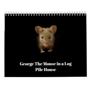 George musen med kulor kalender