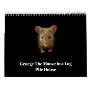 George musen med kulor kalender