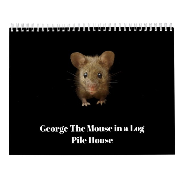 George musen med kulor kalender (Baksida)