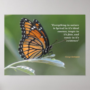 George Santayana citat om naturen Poster