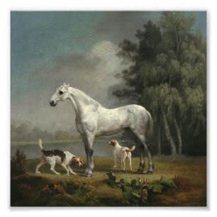 George Stubbs - A Dapple Grått Hunter Fototryck