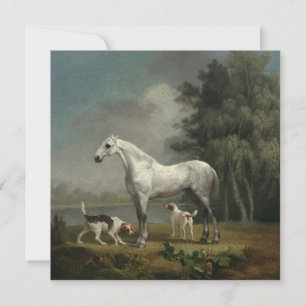 George Stubbs - A Dapple Grått Hunter Julkort