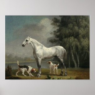 George Stubbs - A Dapple Grått Hunter Poster