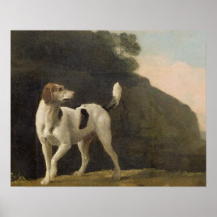 George Stubbs   A Foxhound, c.1760 (olja på papper Poster