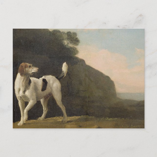 George Stubbs | A Foxhound, c.1760 (olja på papper Vykort (Framsida)
