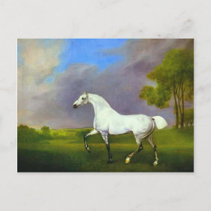 George Stubbs- A Grått Horse Vykort
