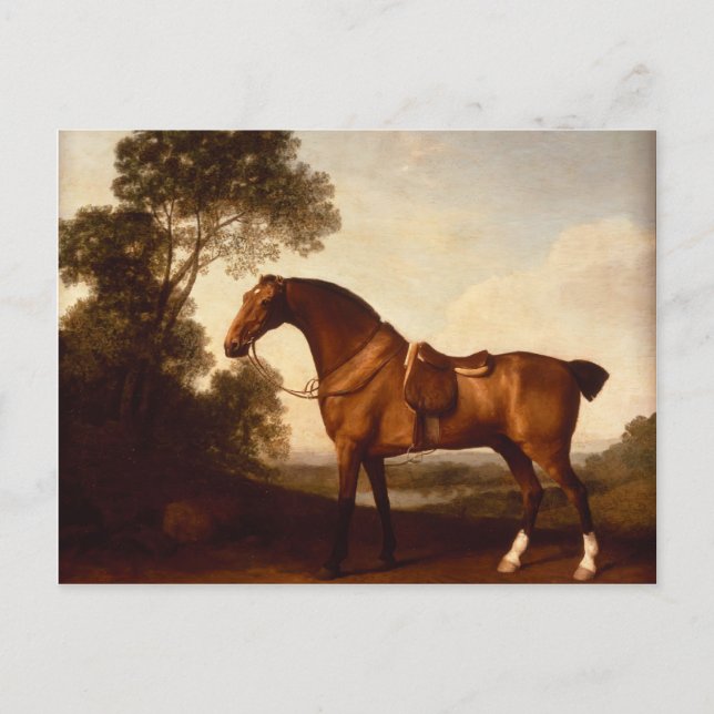 George Stubbs- A Saddled Bay Hunter Vykort (Framsida)