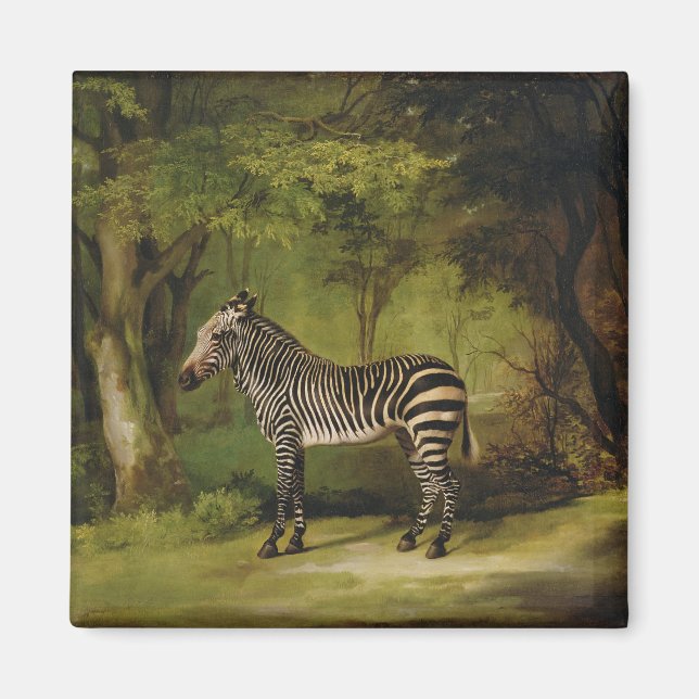 George Stubbs | A Zebra, 1763 (olja på canvas) Magnet (Framsidan)