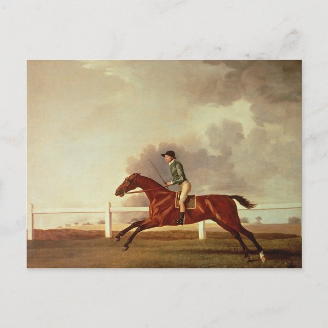 George Stubbs | Bay Malton med John Singleton Up Vykort (Framsida)