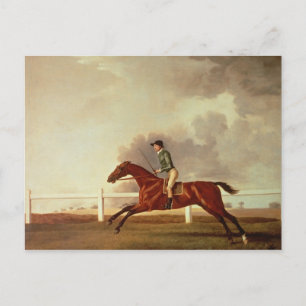 George Stubbs Bay Malton med John Singleton Up Vykort