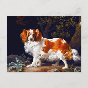 George Stubbs betänkande "Lever and White Charle S Vykort