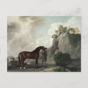 George Stubbs Cato' och Groom Vykort
