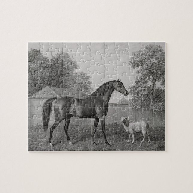 George Stubbs | Dungannon som inristas av den Pussel (Horisontell)
