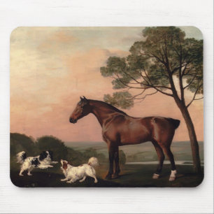 George Stubbs- en fjärdjägare med två Spaniels Musmatta