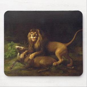 George Stubbs ett lejont anfalla en fullvuxen Musmatta