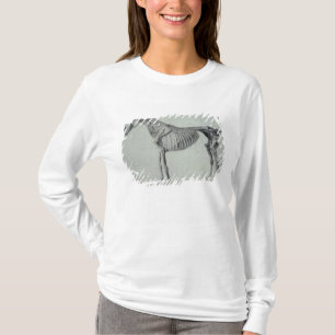 George Stubbs färdig studie för den femte T-shirt